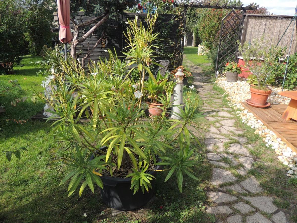 Ferienwohnung Am Hausberg In Radebeul Dış mekan fotoğraf
