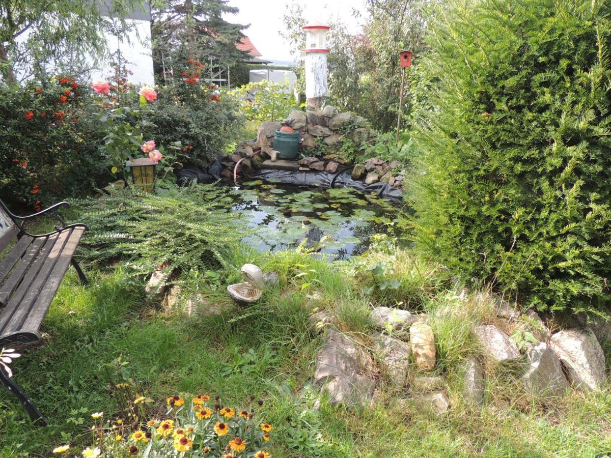 Ferienwohnung Am Hausberg In Radebeul Dış mekan fotoğraf