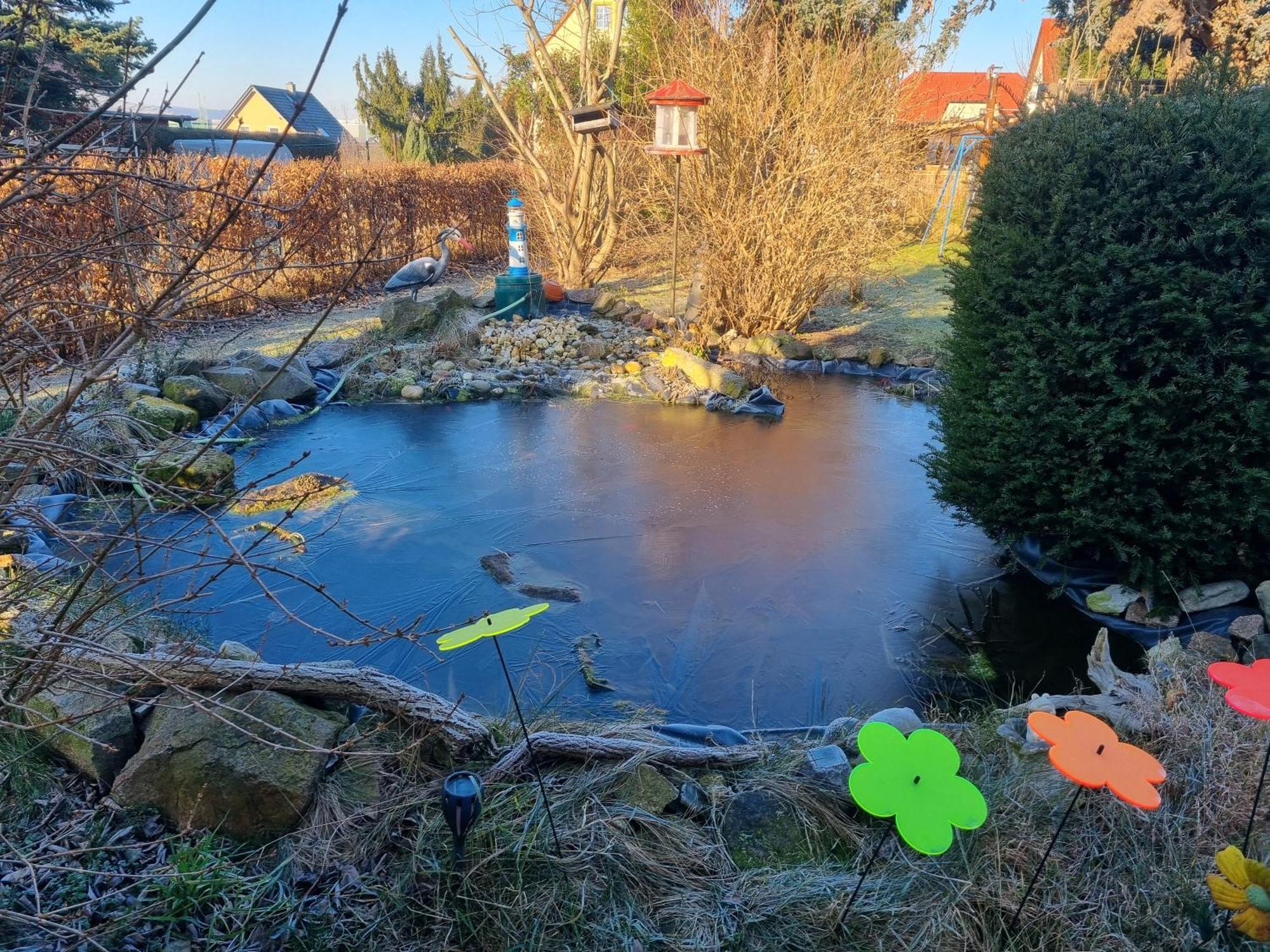 Ferienwohnung Am Hausberg In Radebeul Dış mekan fotoğraf